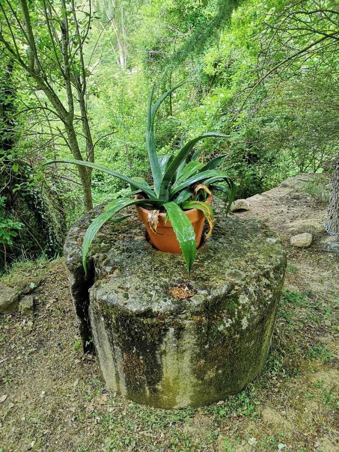 Casa Rural Ardetxal A 16Km De Logrono Y Laguardia Vinaspre Extérieur photo